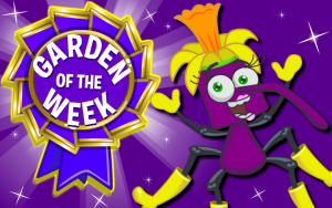 Garden of the Week – May 2025. Wave 2.