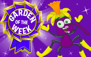 Garden of the Week – June 2025. Wave 1.
